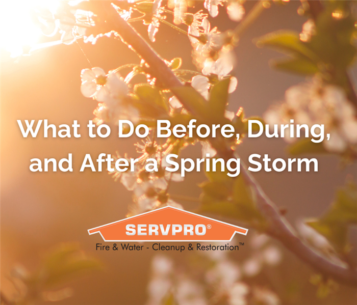 spring flowers background with SERVPRO logo overview 