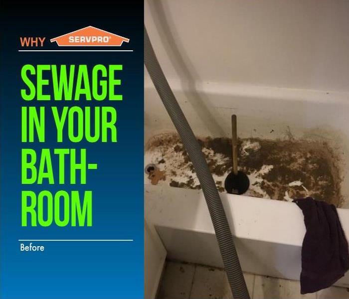  bathtub with dirt and plunger inside, hose and towel on side of tub