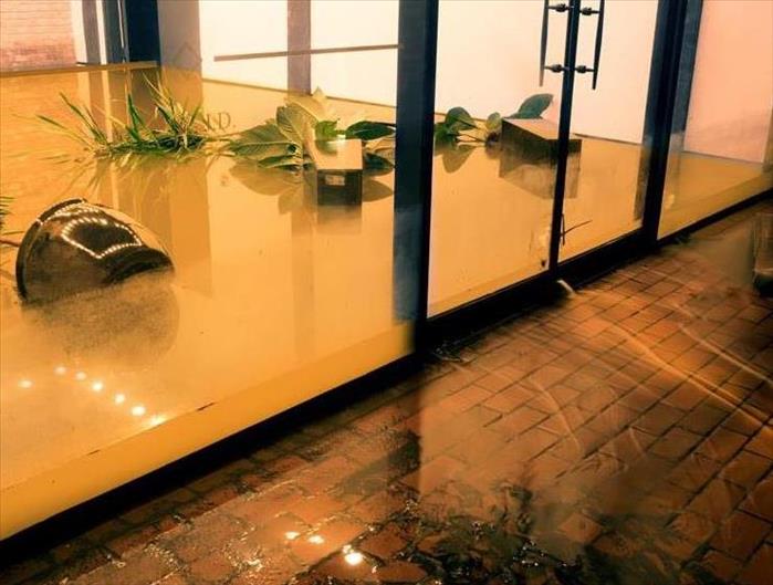 Image of Flooded Business