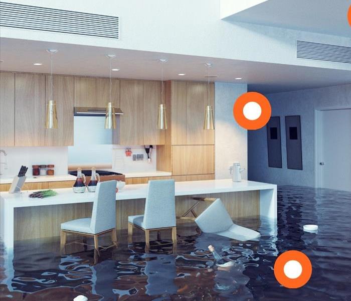 servpro logo with flood 