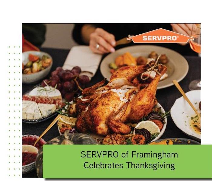 Turkey with green overlay and SERVPRO logo